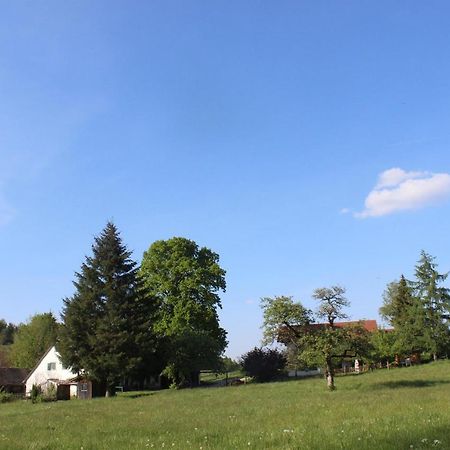 반겐임알가우 Auszeit Auf Dem Lindenhof 아파트 외부 사진
